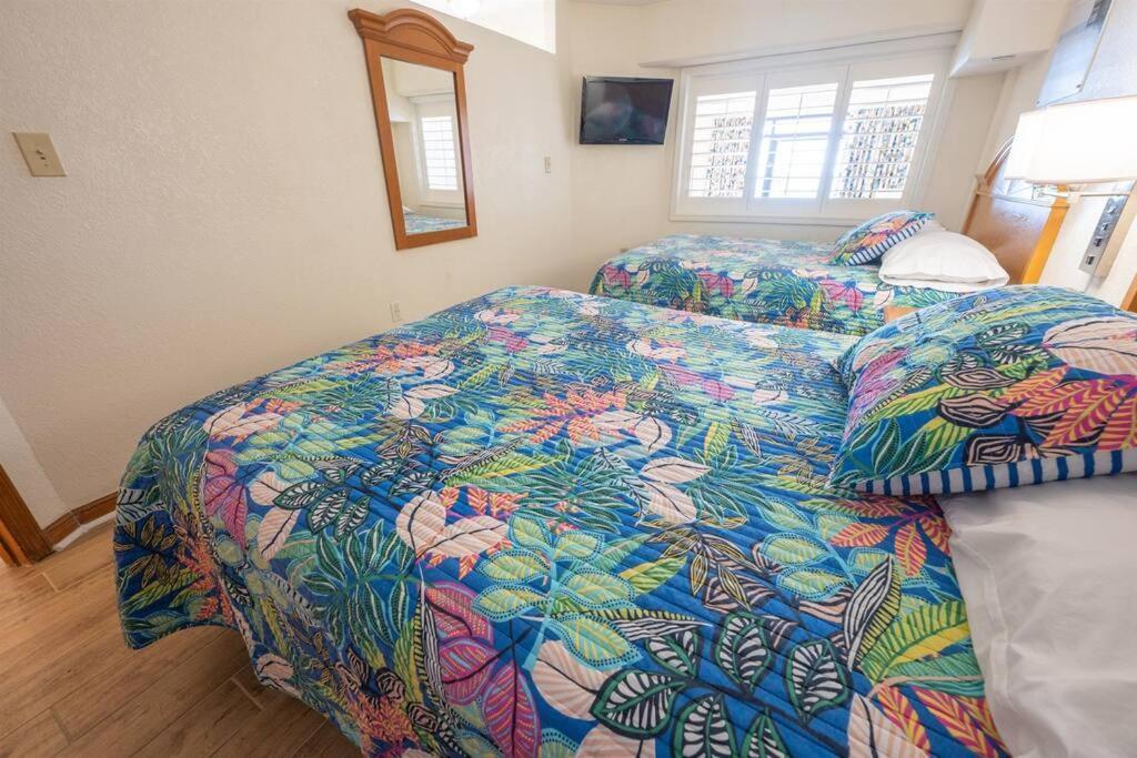 New Remodeled Direct Oceanfront Views Beach Cove 默特尔比奇 外观 照片
